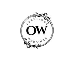 ow letras iniciais modelo de logotipos de monograma de casamento, modelos minimalistas e florais modernos desenhados à mão para cartões de convite, salve a data, identidade elegante. vetor