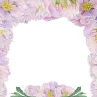 arranjo de moldura quadrada em aquarela com delicadas flores de peônia rosa desenhadas à mão, brotos e folhas. isolado no fundo branco. para convites, casamento, amor ou cartões, papel, impressão, têxtil vetor