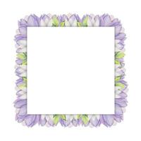 moldura quadrada desenhada à mão em aquarela com flores da primavera, açafrão, snowdrops, galhos, folhas. isolado no fundo branco. design para convites, casamento, cartões, papel de parede, impressão, têxtil. vetor