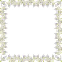 moldura quadrada desenhada à mão em aquarela com flores da primavera, gotas de neve, folhas verdes frescas. isolado no fundo branco. design para convites, casamento, cartões, papel de parede, impressão, têxtil. vetor