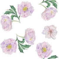 arranjo de quadro de círculo aquarela com delicadas flores de peônia rosa desenhadas à mão, brotos e folhas. isolado no fundo branco. para convites, casamento, amor ou cartões, papel, impressão, têxtil vetor