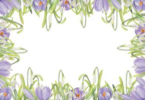 moldura quadrada desenhada à mão em aquarela com flores da primavera, açafrão, snowdrops, galhos, folhas. isolado no fundo branco. design para convites, casamento, cartões, papel de parede, impressão, têxtil. vetor