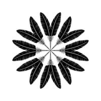 forma de círculo ornamental feita por composição de penas para decoração, ornamentado, site, ilustração de arte, fundo, papel de parede, logotipo ou elemento de design gráfico. ilustração vetorial vetor