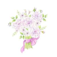 bouquet em aquarela de flores de rosa mosqueta com uma fita rosa vetor