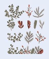 conjunto de elementos de decoração de plantas de natal vetor