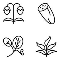 ícones naturais de frutas e plantas vetor