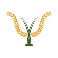 logotipo de agricultura de trigo vetor