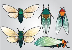 Pacote Vector Vector da Cicada