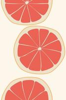 toranja em um fundo bege. ilustração em vetor de frutas de verão e frutas cítricas. ícones cítricos são silhuetas de pictogramas. fruta tropical. partes de toranja, fatias. ilustração vetorial, eps 10