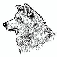 ilustração de lobo no estilo caneta vetor