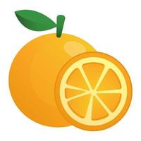 ilustração vetorial laranja vetor