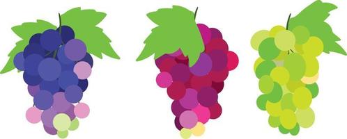 vetor de uvas frescas doces e saborosas roxas