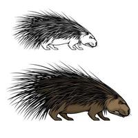 mascote animal porco-espinho. ícone de ouriço da floresta selvagem vetor
