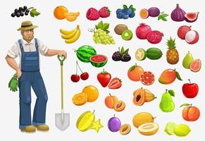 agricultor com frutas e bagas, comida de jardinagem vetor