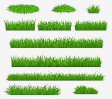 grama verde, mídia e lâminas de grama de campo agrícola vetor