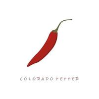 ilustração vetorial de design plano de pimenta colorado vetor