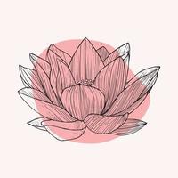 flor de lótus com mancha de cores. arte de linha de lótus. ilustração vetorial. vetor