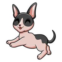 desenho de gato bonito cornish rex vetor