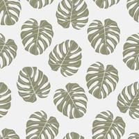 bela monstera tropical deixa design de padrão sem emenda. fundo de natureza de folhas tropicais. ilustração brasileira na moda. design de primavera e verão para têxteis, estampas, papel de embrulho. vetor