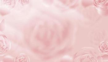 exibição de parede de fundo de rosa inglês rosa turva, papel de parede de cena 3d vetorial com flor de primavera embaçada, banner de pano de fundo pastel rosa doce para produtos de beleza, dia das mães, dia dos namorados vetor