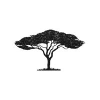 silhueta vetorial de árvore de acácia silhueta isolada de árvore africana vetor