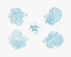 arte de linha desenhada à mão de peixe betta vetor