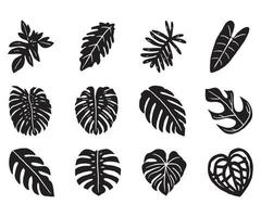 ícone de doodle de folha de planta tropical vetor