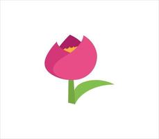 tulipa isolada no branco vetor