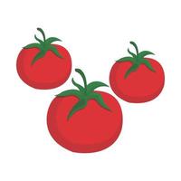 design de vetor de tomate fresco