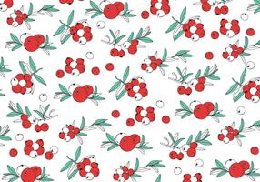 Cranberries Pattern Vector