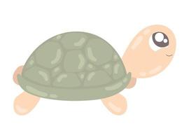 animal fofo tartaruga vetor