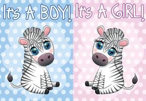 cartão é um menino, é uma menina com uma linda zebra de desenho animado sentada. feriado infantil do recém-nascido, chá de bebê vetor