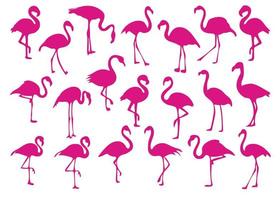 conjunto de ícones de flamingo rosa. coleção de pássaros, animais exóticos. ilustração plana isolada no fundo branco. vetor