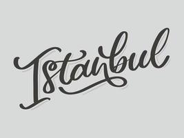 Istambul. Letra manuscrita. logotipo de vetor de Istambul na cor preta com gaivotas em fundo branco. produtos de lembrança, emblema de banner, mídia social de blog de viagens, folheto, panfleto. ilustração digital.