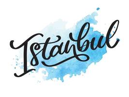 Istambul. Letra manuscrita. logotipo de vetor de Istambul na cor preta com gaivotas em fundo branco. produtos de lembrança, emblema de banner, mídia social de blog de viagens, folheto, panfleto. ilustração digital.