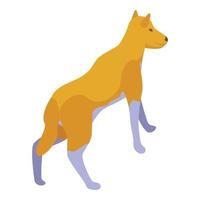 vetor isométrico de ícone de cão de safári. animal selvagem