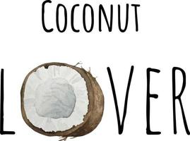ilustração em aquarela de coco. fruta crua fresca. ilustração de amante de coco vetor