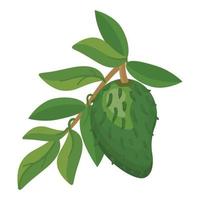 vetor de desenhos animados de ícone de árvore de graviola. suco de muricata