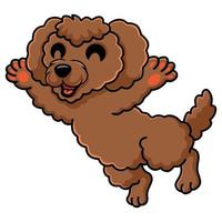 desenho animado de cachorro poodle de brinquedo fofo vetor