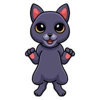 desenho de gato chartreux fofo em pé vetor