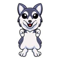 lindo desenho animado de cachorro husky siberiano vetor