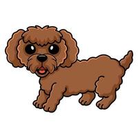 desenho animado de cachorro poodle de brinquedo fofo vetor