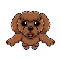 desenho animado de cachorro poodle de brinquedo fofo segurando um osso vetor