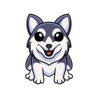 lindo desenho animado de cachorro husky siberiano vetor