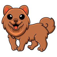 desenho animado de cachorrinho Pomeranian fofo vetor