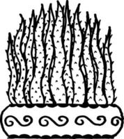 ilustração vetorial de ornamento de planta de cacto em cores preto e branco vetor