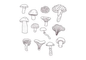 Desenhos Botânicos de Cogumelos vetor