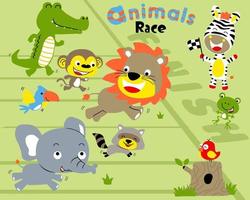 conjunto vetorial de desenhos animados de animais em corrida vetor