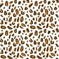 padrão de leopardo sem emenda de vetor, manchas em um design clássico de fundo branco. ilustração vetorial vetor