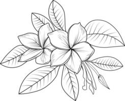 ilustração do esboço contorno buquê azaleia flores desenhadas à mão livro de colorir de artístico, flor flores narciso isolado no fundo branco, esboço arte folha ramo coleção botânica. vetor
